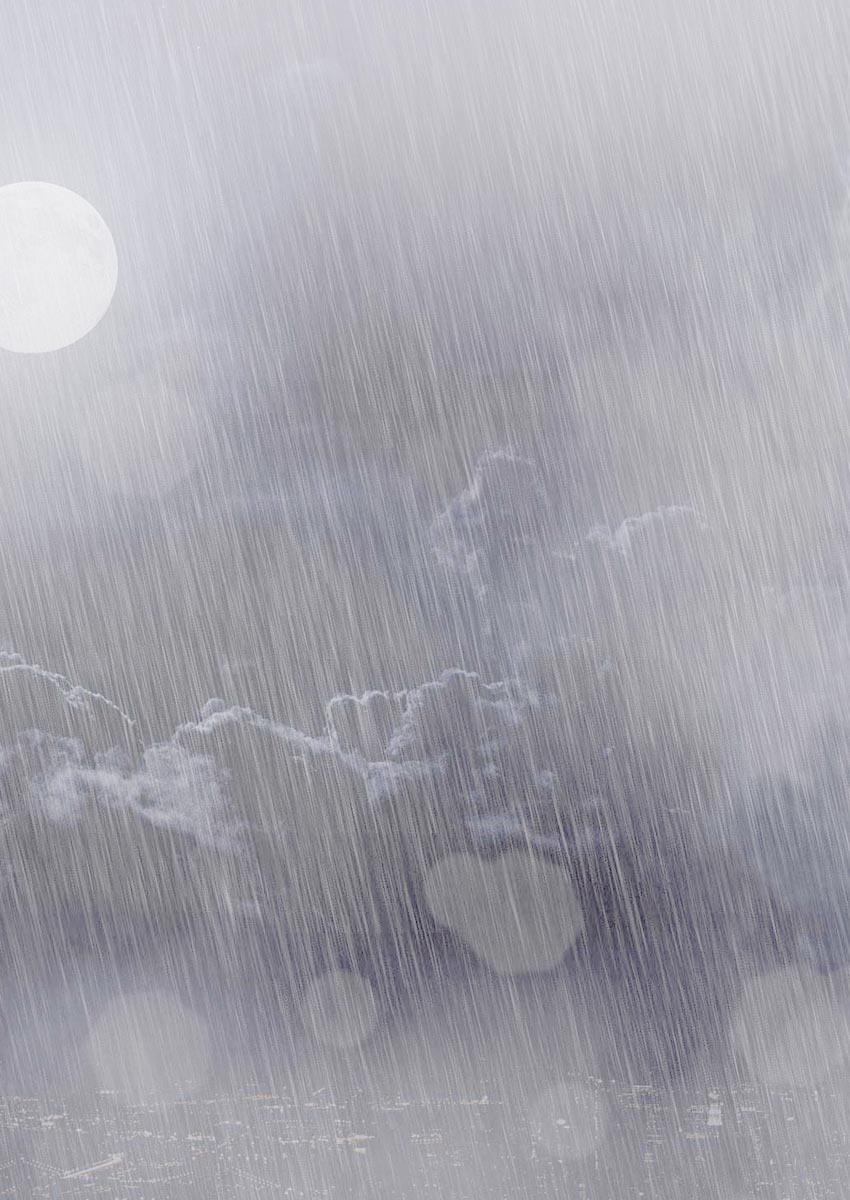 Harley Lucy You Background